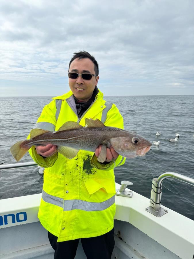 3 lb 12 oz Cod by Alex Choy.