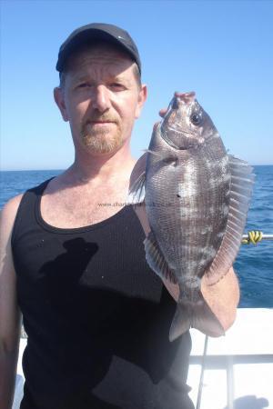 2 lb Black Sea Bream by Mark