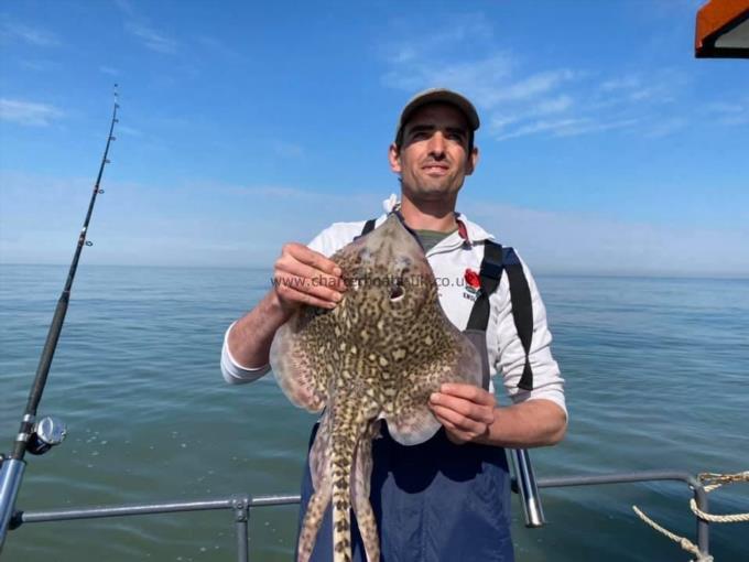 6 lb Thornback Ray by Unknown