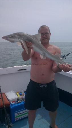 6 lb 7 oz Smooth-hound (Common) by scott