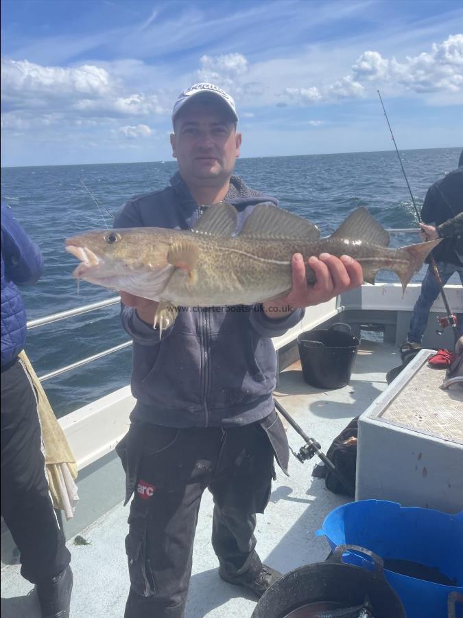 6 lb Cod by Unknown