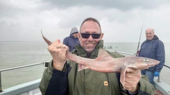 3 lb Smooth-hound (Common) by Gary