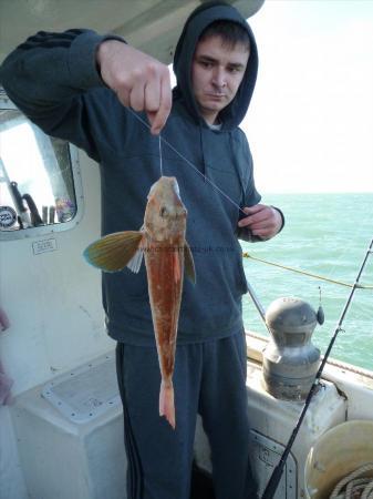 2 lb 12 oz Tub Gurnard by Bob Marshall