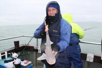 8 lb Smooth-hound (Common) by Steve