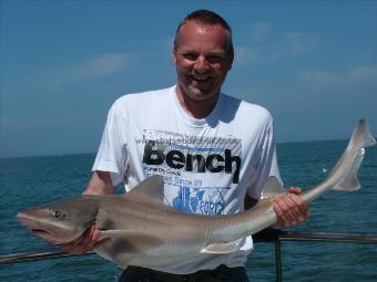 21 lb 6 oz Starry Smooth-hound by Doug