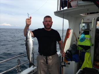 4 lb Coalfish (Coley/Saithe) by Colin Graham