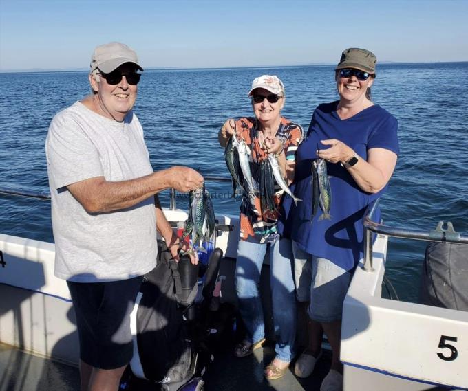 1 lb Mackerel by Unknown