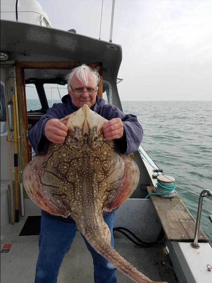17 lb 8 oz Undulate Ray by Caught by Rick