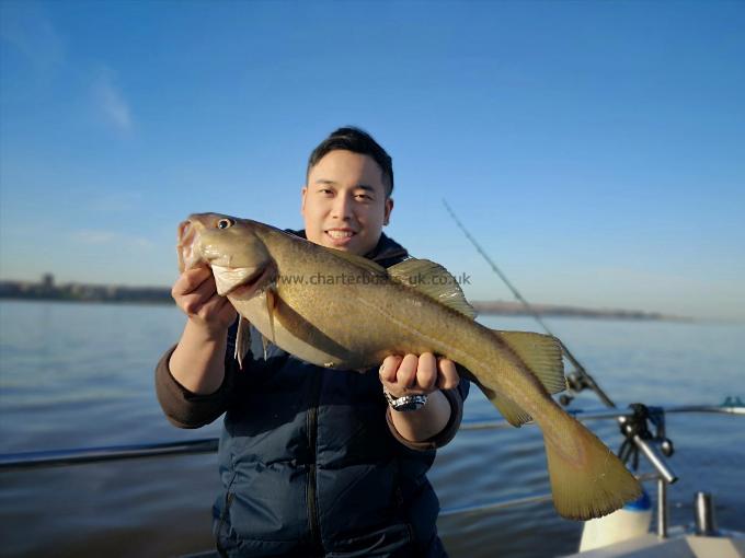 5 lb 8 oz Cod by Unknown