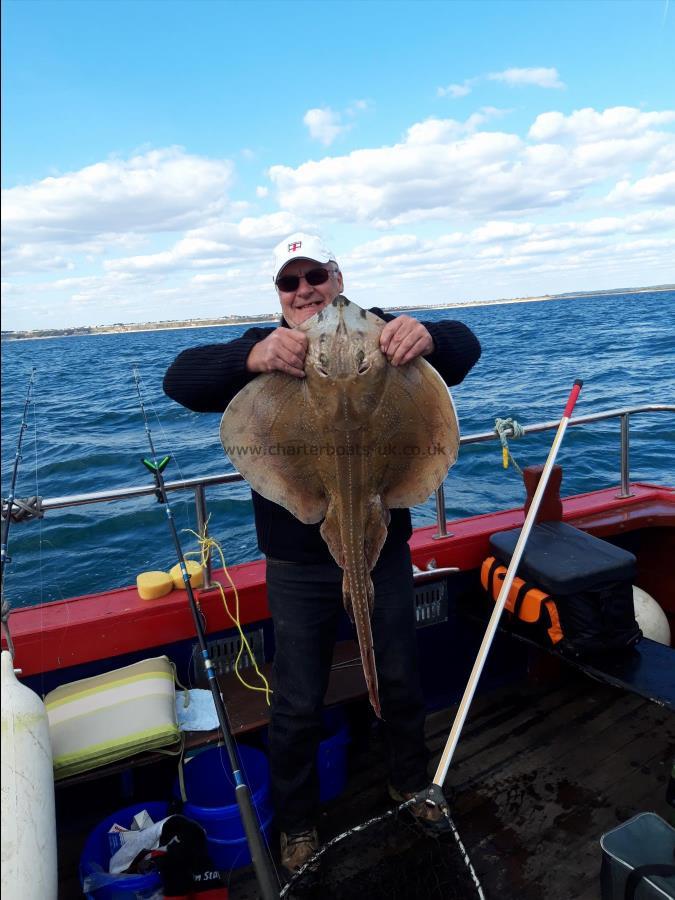 14 lb Undulate Ray by Paul Green from Christchurch