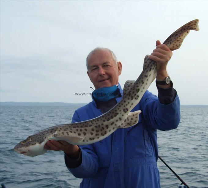 10 lb 8 oz Bull Huss by David Metcalf