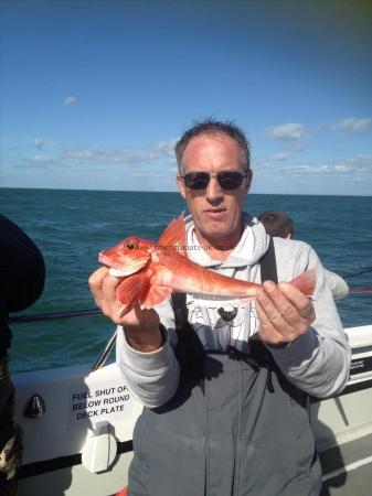 1 lb Red Gurnard by Unknown