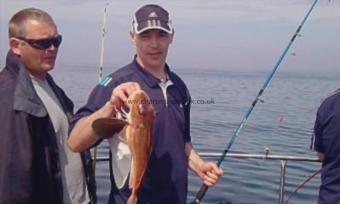 3 lb Tub Gurnard by Unknown