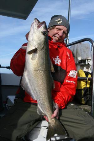 14 lb Pollock by Paul Dennis