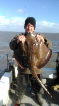 17 lb Blonde Ray by adam