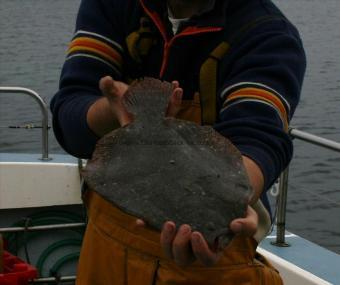 4 Kg Plaice by Unknown