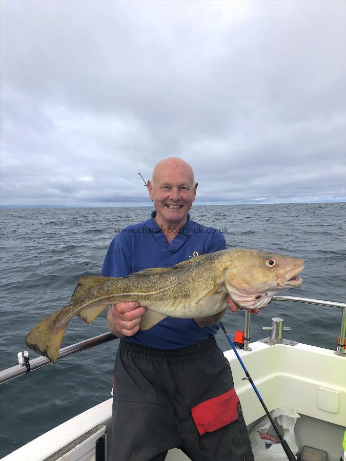 11 lb Cod by Norman Taylor