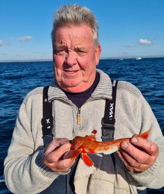 1 lb Red Gurnard by George G