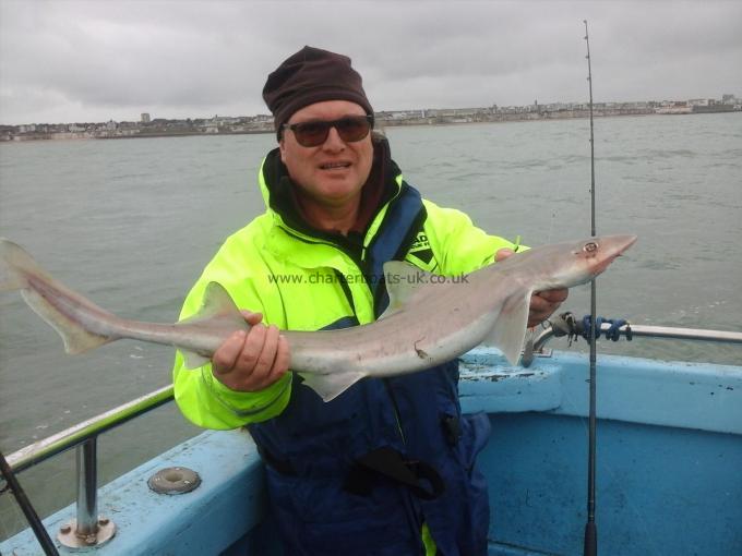 7 lb Starry Smooth-hound by Andy