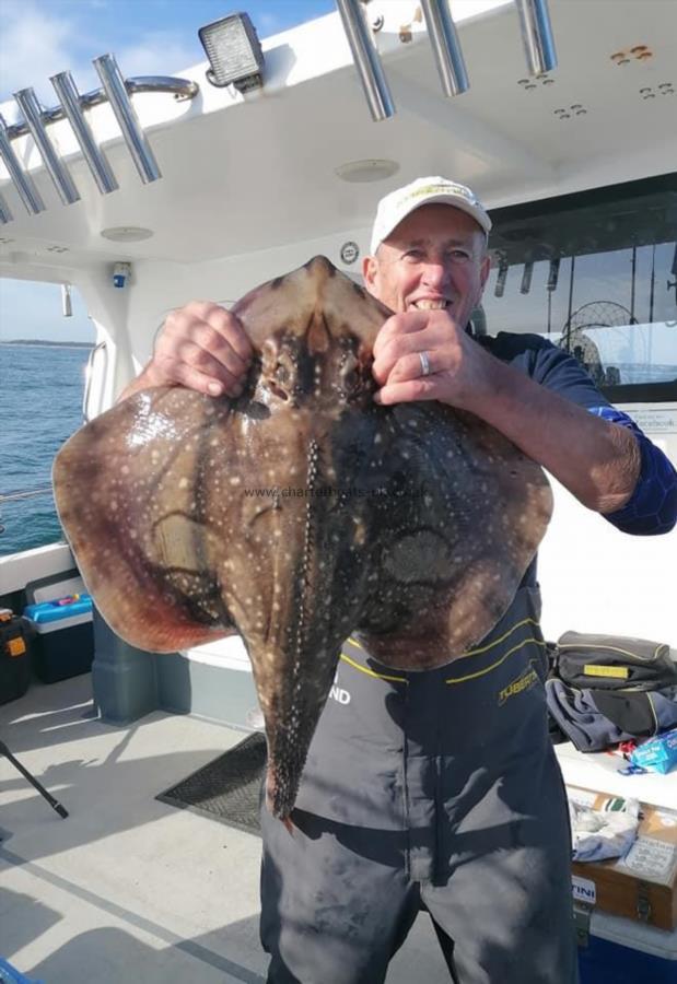 16 lb 8 oz Undulate Ray by Steve