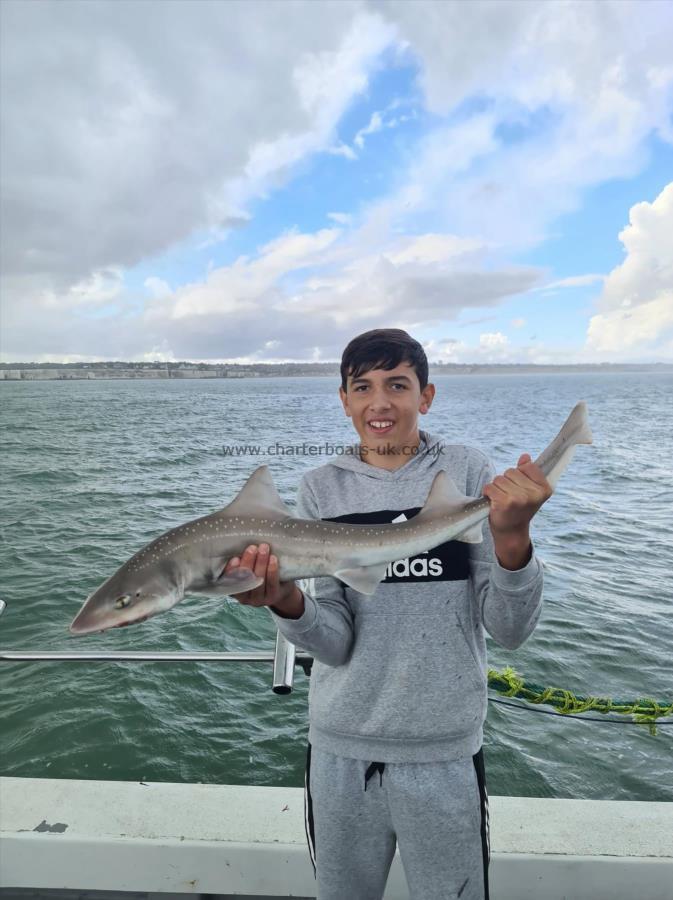 5 lb 5 oz Smooth-hound (Common) by Liam