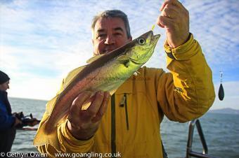 2 lb Pollock by Dave