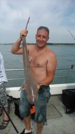 13 lb 12 oz Smooth-hound by james
