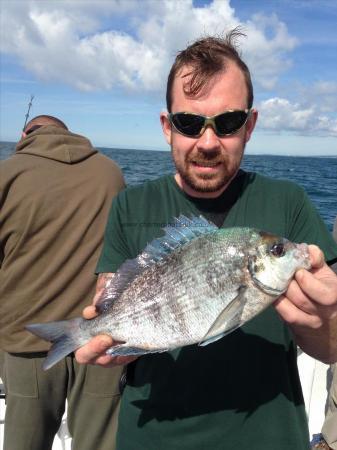 2 lb Black Sea Bream by Micks mate