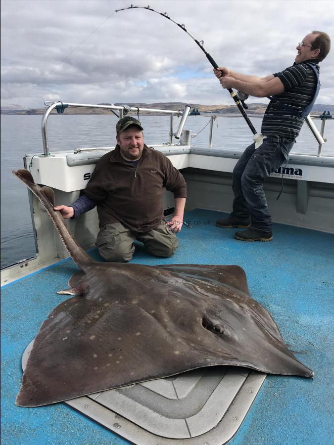 190 lb Common Skate by Kevin McKie