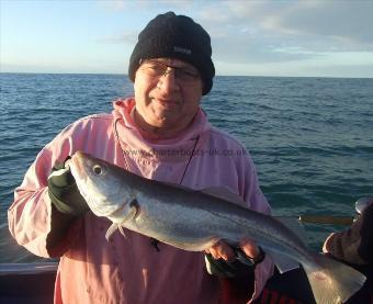 3 lb 8 oz Whiting by Barry Stocks