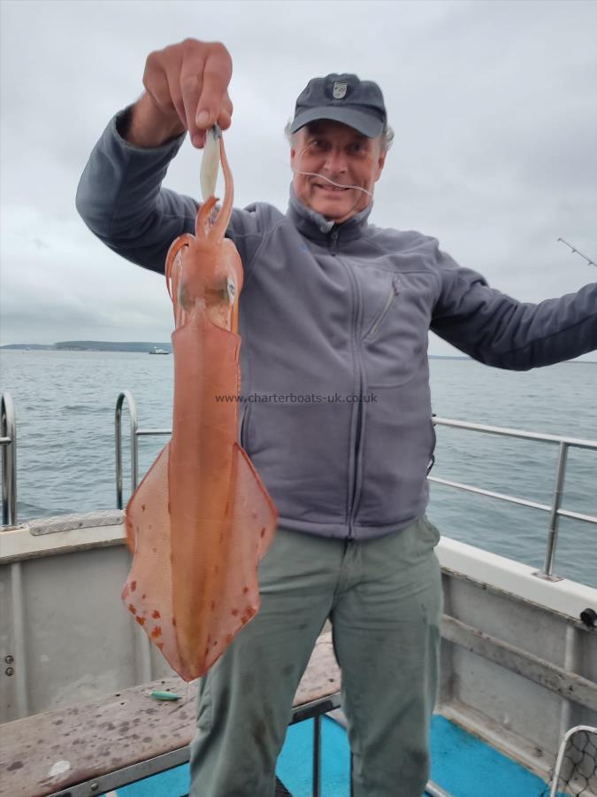 3 lb 2 oz European Squid by Peter