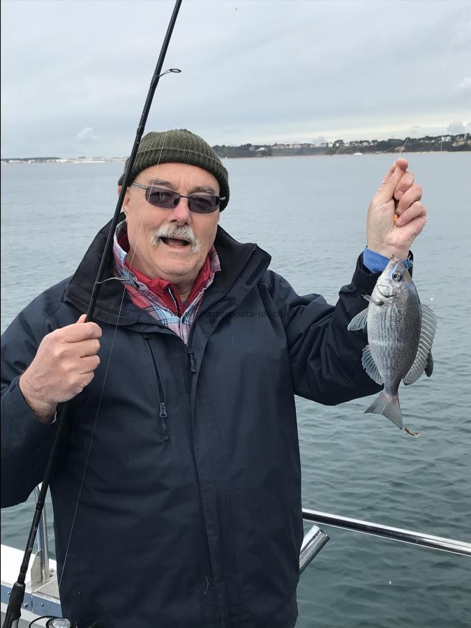 1 lb Black Sea Bream by Clive