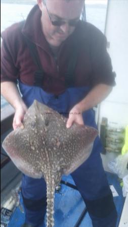 6 lb 10 oz Thornback Ray by Gordons