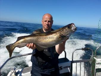 8 lb 6 oz Pollock by andrew bettison