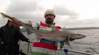 11 lb 3 oz Smooth-hound (Common) by Unknown