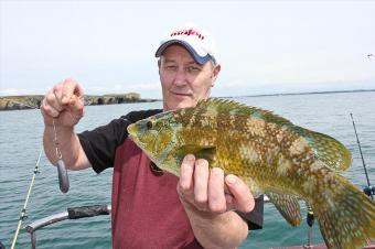 2 lb 8 oz Ballan Wrasse by Graham