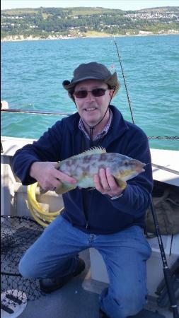 3 lb Ballan Wrasse by Bill Green