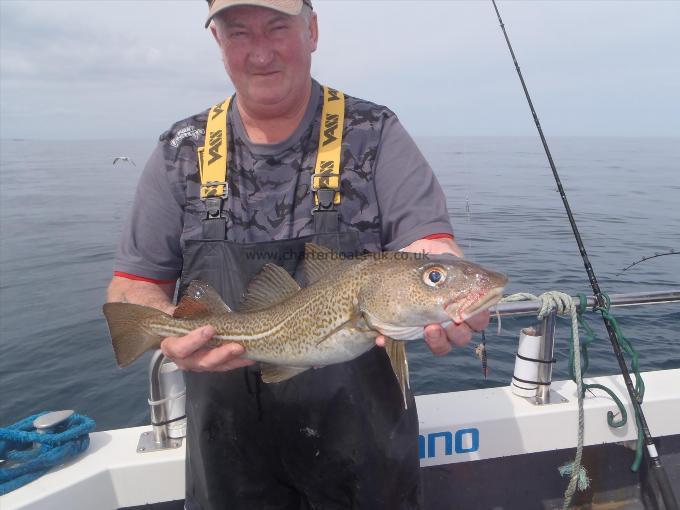 3 lb Cod by Brian Towle.