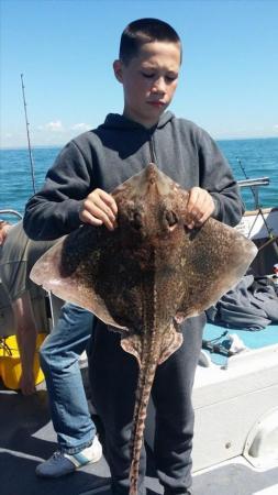 8 lb Thornback Ray by Unknown