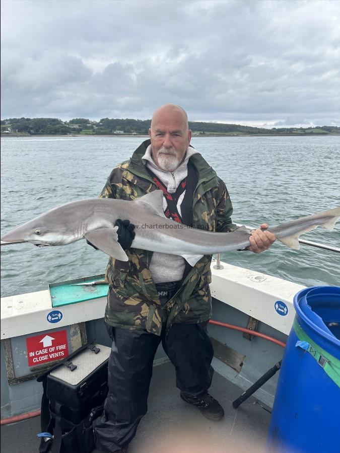 26 lb Tope by Dale