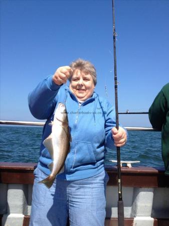 1 lb 12 oz Pollock by Alison PD