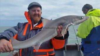 9 lb Smooth-hound (Common) by Chris vardy