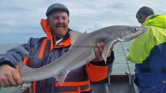 9 lb Smooth-hound by Chris vardy