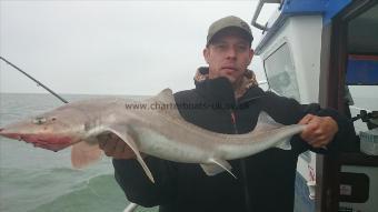 14 lb Smooth-hound (Common) by Kevin from Rainham