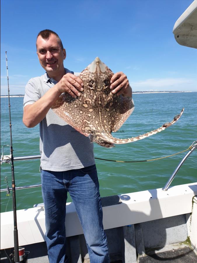 8 lb 4 oz Thornback Ray by Bob Marshall