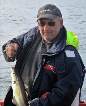 2 lb 8 oz Pollock by Dave Stephens