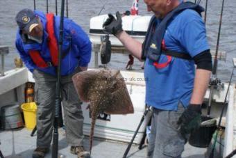 10 lb Thornback Ray by Jamie