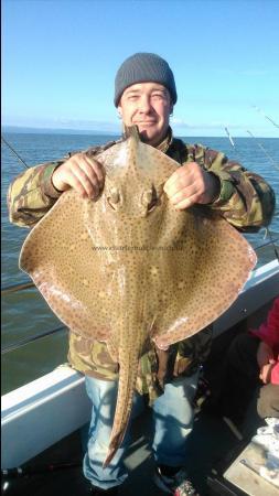 14 lb Blonde Ray by Karl