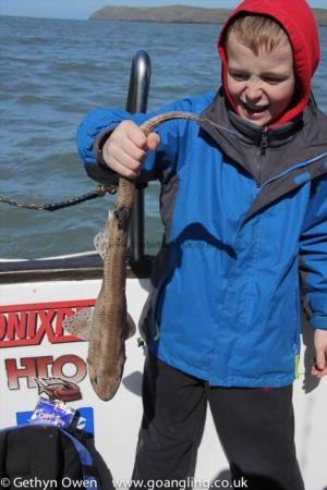 2 lb Lesser Spotted Dogfish by Kobi