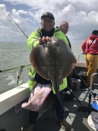 10 lb Stingray (Common) by Unknown